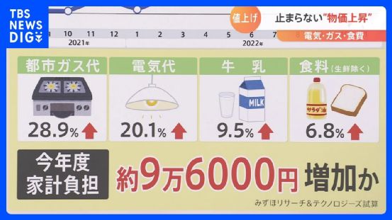 小兔棉棉 勇敢或分享的小兔棉棉价值观