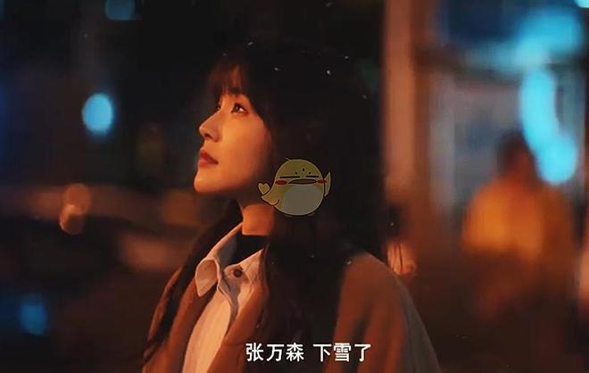 :视频 视频添加字幕和特效