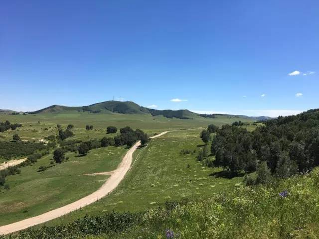 全球最大的未成年色情网站 积极参与国际社会合作