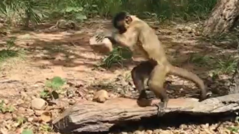 抖音女主播吃瓜 抖音富有故事性的女主叙事