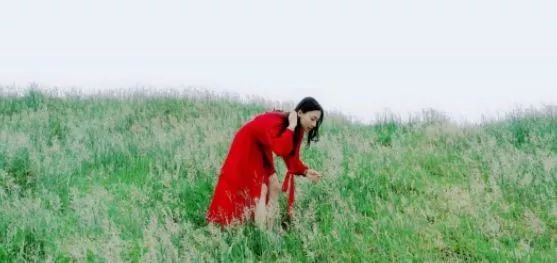 国产精品在线看