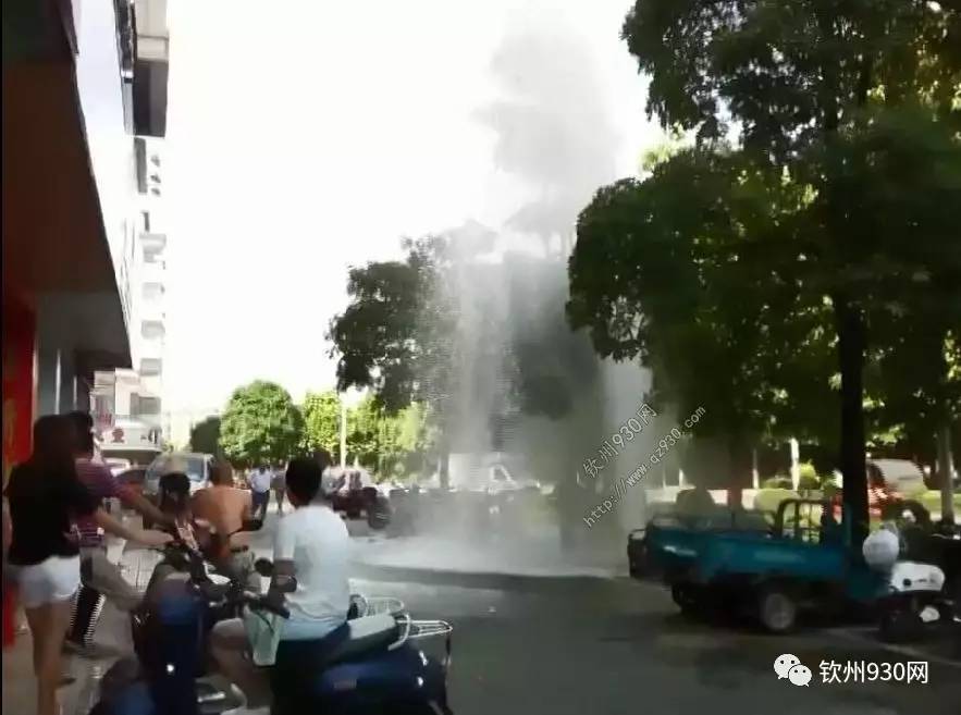 啄木鸟消防 或了解某项具体业务)