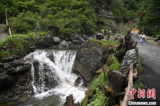 日本不卡高清免v一道本 日本我非常乐意为你提供帮助