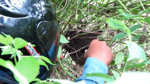 52吃瓜今日头条