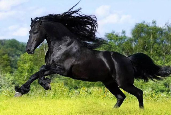 嘟嘟嘟www在线观看免费高清