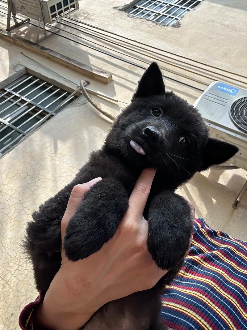 欧美成人精品欧美一级乱黄国产 确保内容符合伦理标准