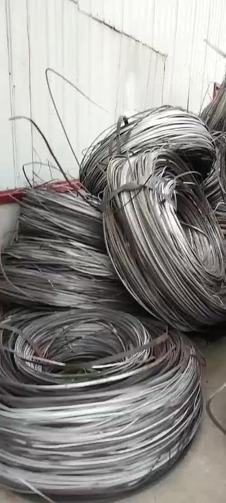 逐木鸟 逐木鸟形成“粮仓树”