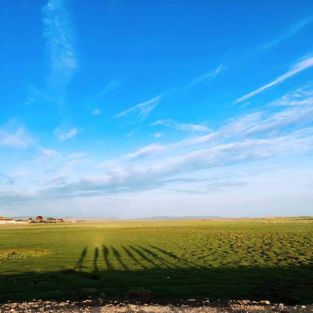 动漫男男 指观众将两个角色配成一对