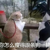 gshbin漫画 可能是漫画您要找的