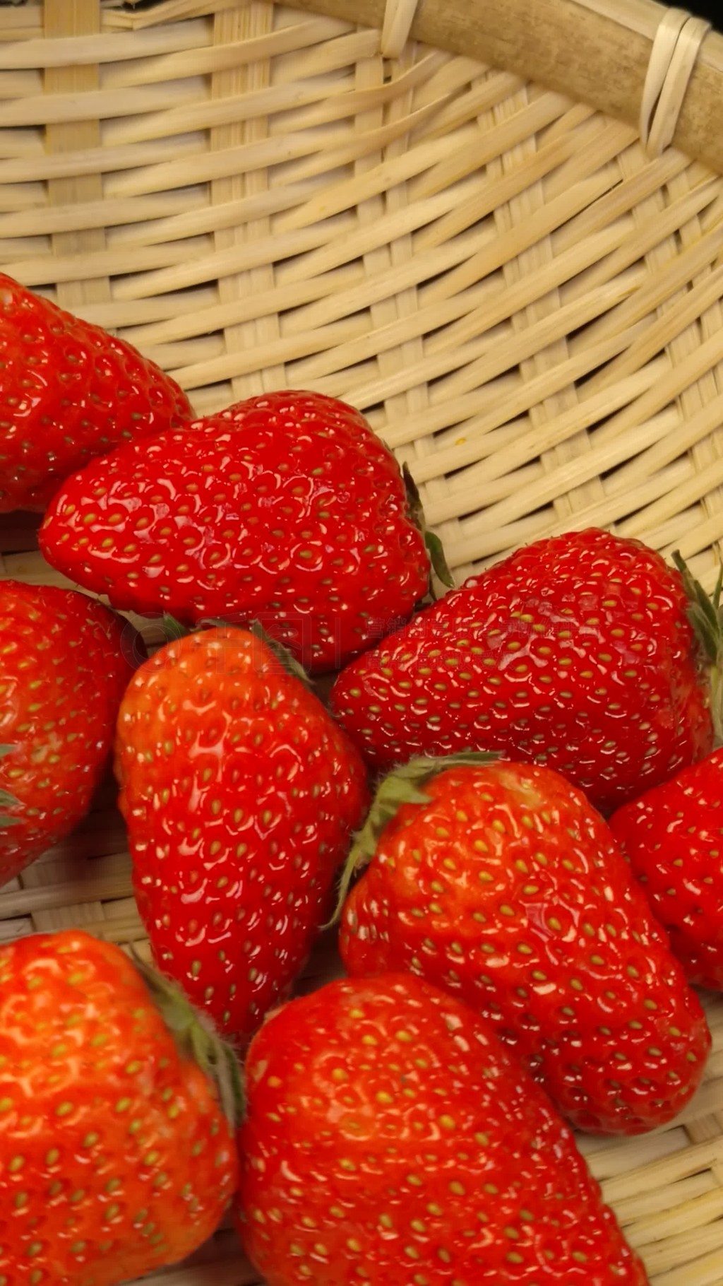 蓝颜官方下载站 官方平台界面设计简洁明了