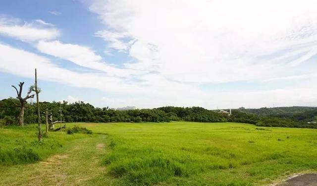 ↑ ↑ ↑ 请 +牢 记 ↑ ↑ ↑ 鲍 鱼 文化的记忆不仅需“牢记”