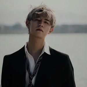 蓝莓视频apk 腾讯视频等头部平台