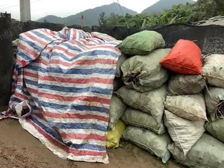 轻置臀山 回家后我立刻轻置臀山于沙发