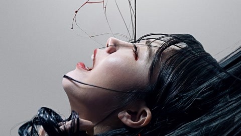 黑料社1.19,黑料社1.4.2 料社且同质化信息较多