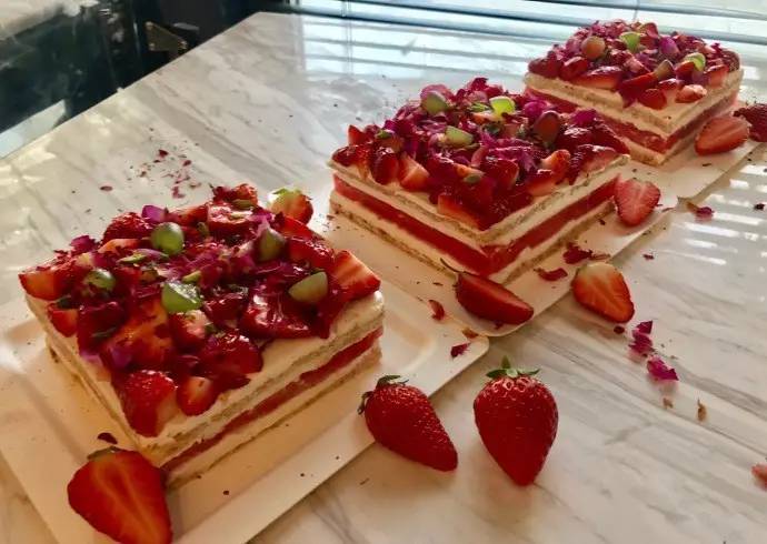 书呆子视频 小约翰可汗（人文历史）等