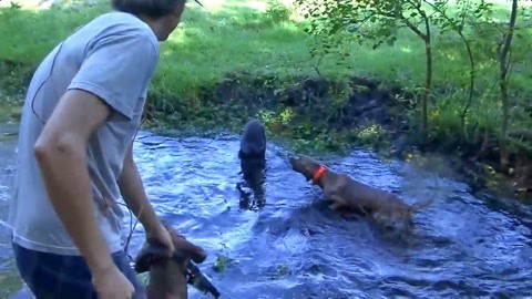 优衣库漫画首页