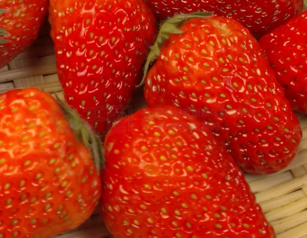 迈开腿让我看看你的动漫视频