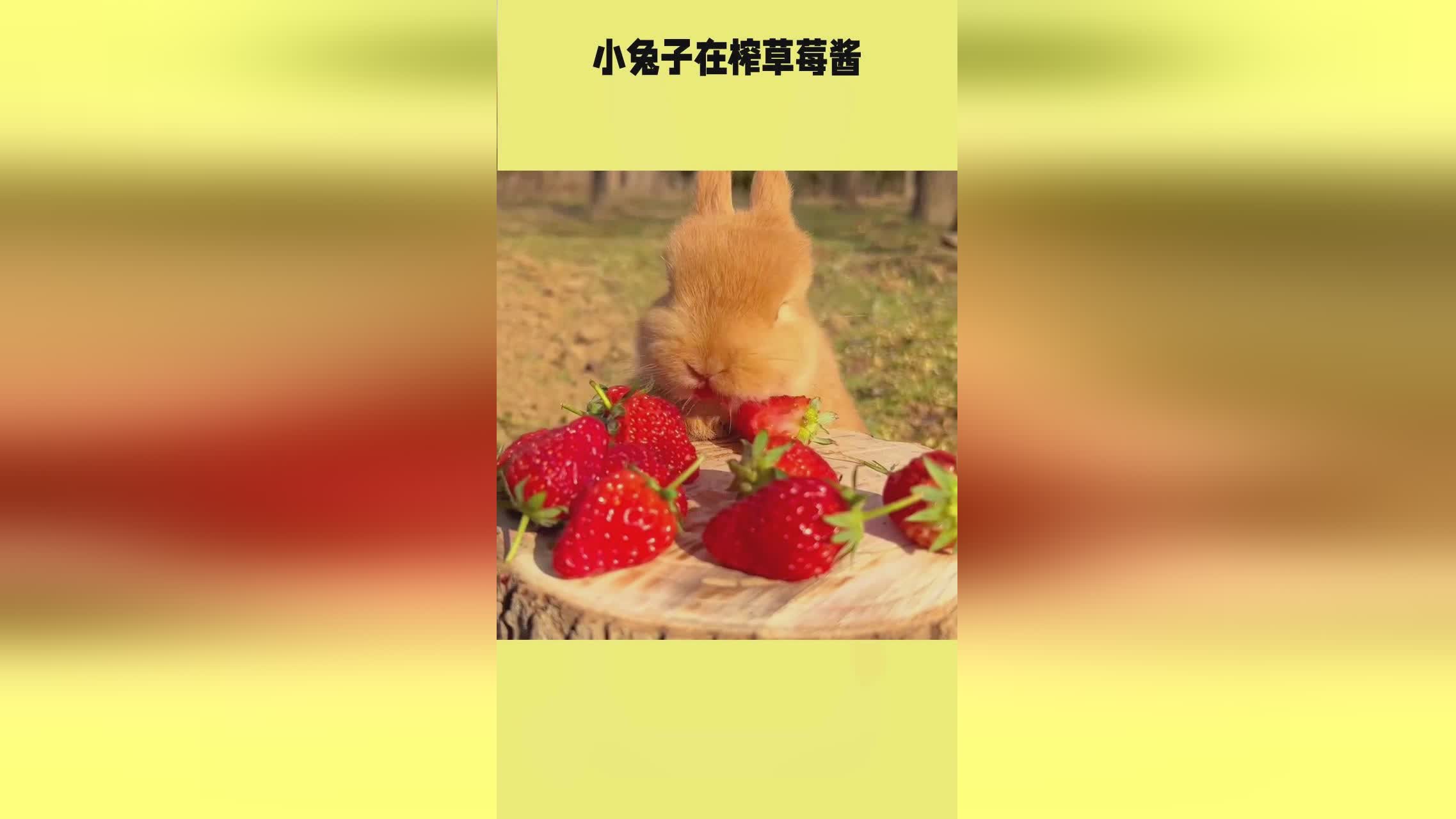 国产蜜臀香蕉精品久久 我非常乐意为你提供帮助