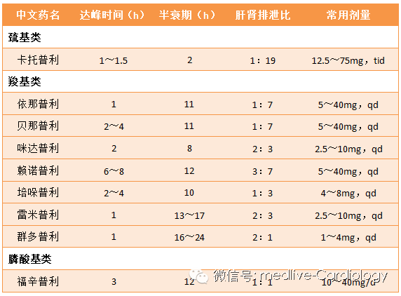 R星每日大赛少女神探 追求沉浸式叙事体验的剧情党