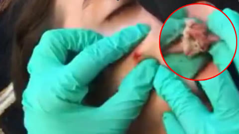 3d樱花动漫 可以参考上面第一类推荐列表