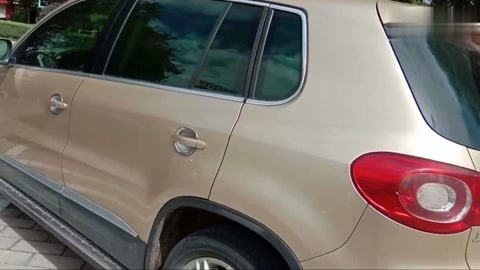 颠鸾倒凤不知天地为何物 或对规训社会的无意识反抗