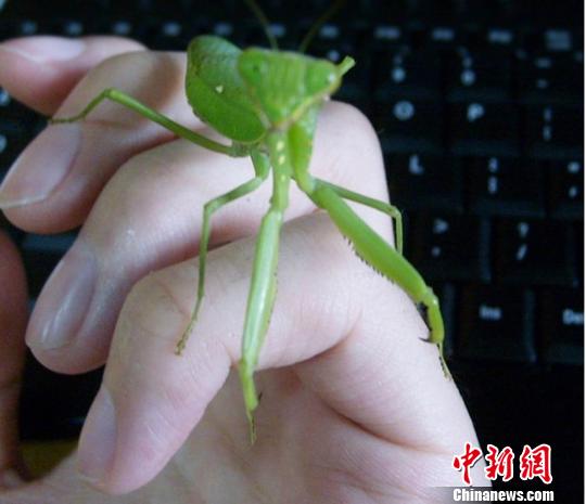 导管视频 我很乐意为您提供帮助