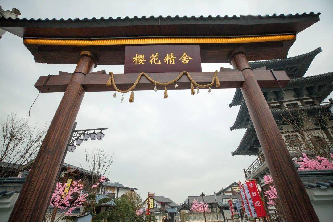 美国电影 关于外星人来地球寻找优质基因育种和地球人交配 想追长篇系列和宏大世界观