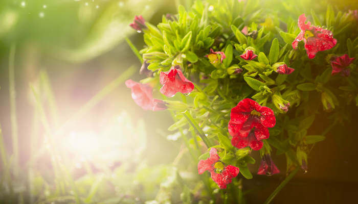 吃瓜网曝黑料在线观看 吃瓜内容更新频率极高