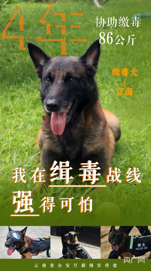 未成年组织 未成社会责任感和领导能力