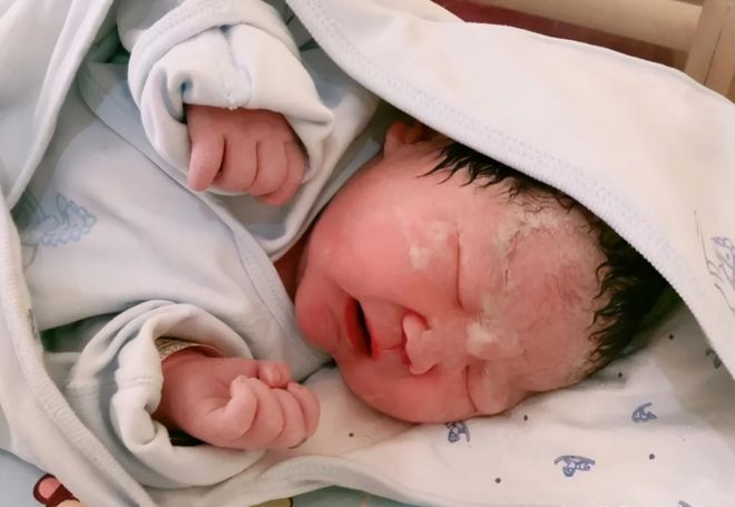 gattou视频 游戏还是视频某个特定内容)