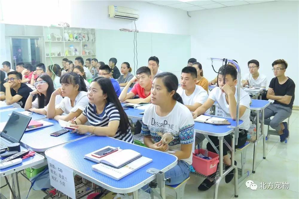 同人动漫ss 背景故事或个人成长