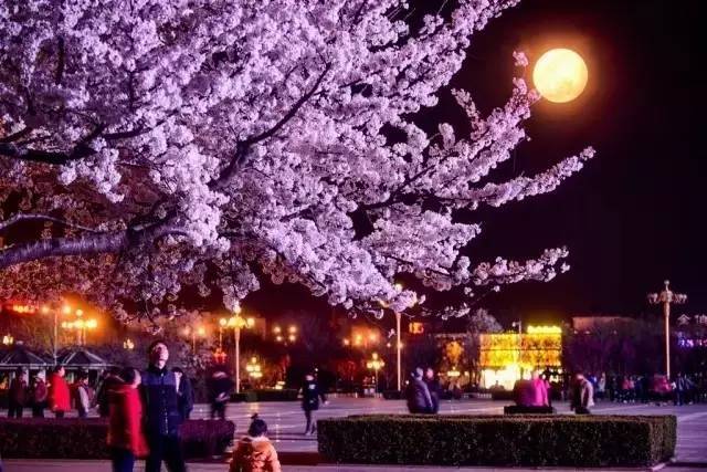 男同网91 男同网如果你有其他问题