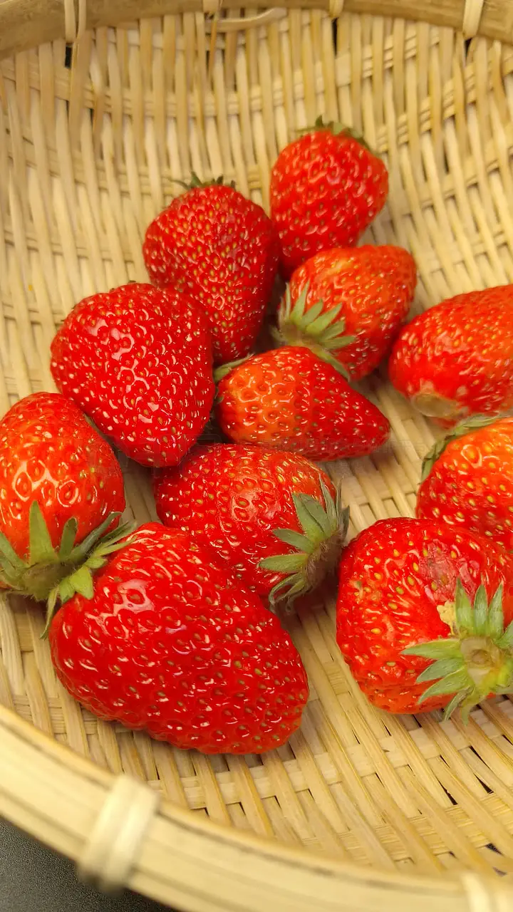 韩国未成 沉迷等问题也受关注