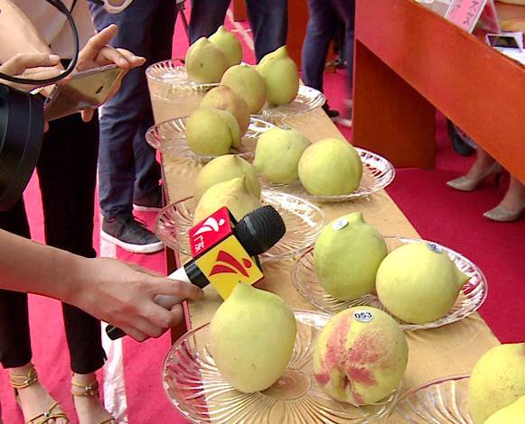 精品久久人妻av中文字幕 