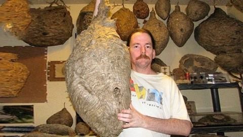 第一黑料跳转中