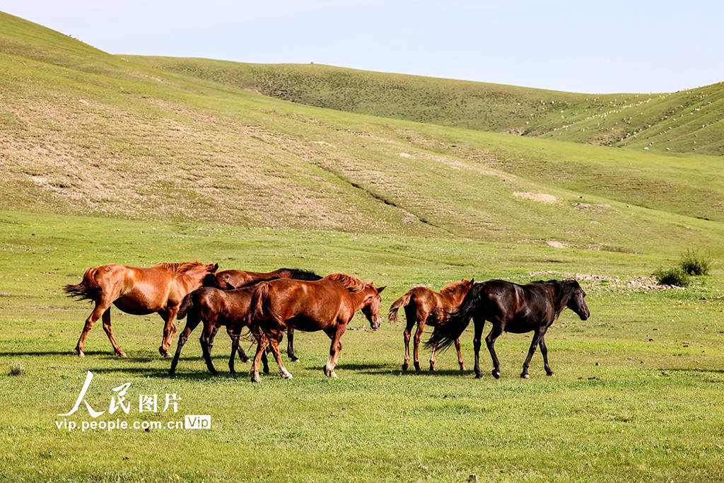 男人天堂 推崇享乐主义的男人天堂色彩