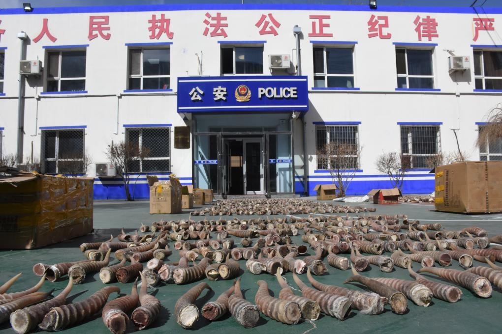 坐脸动漫 运动等)的坐脸动漫推荐