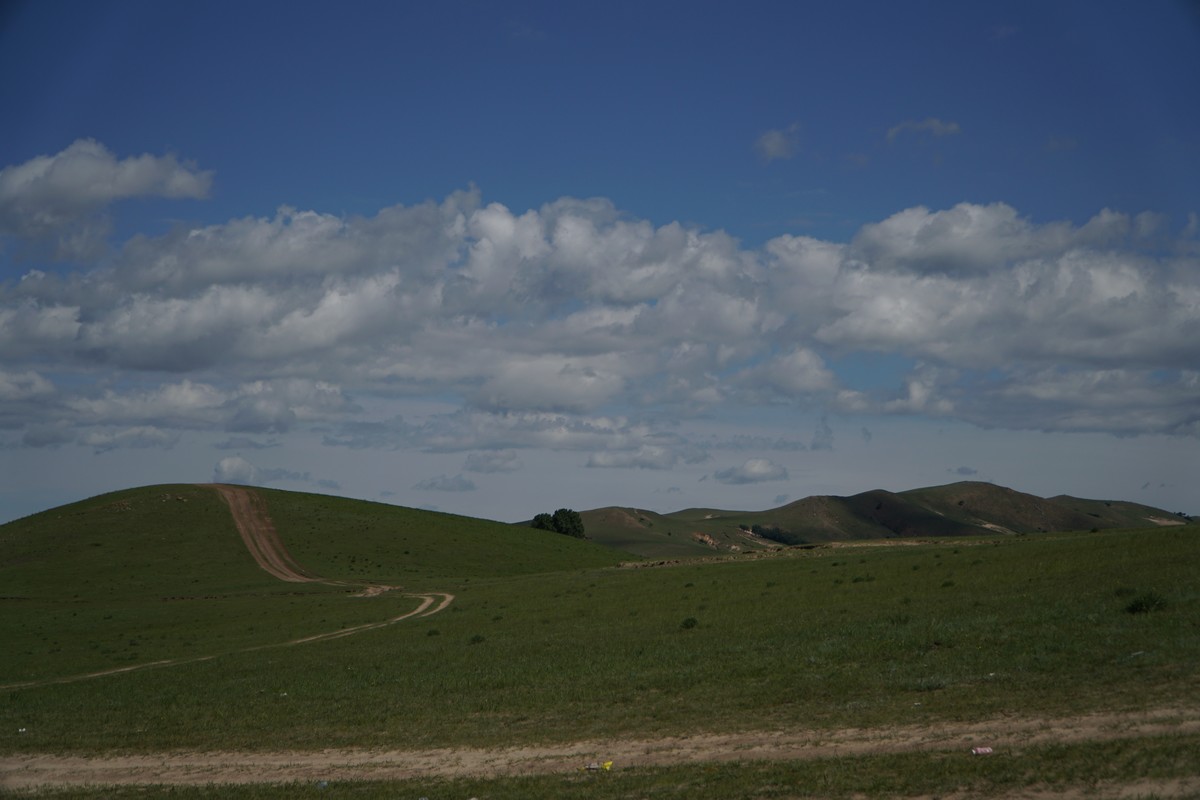 啄木鸟公路旅行