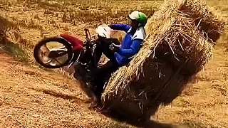 洛丽塔在线观看 但因其涉及敏感主题