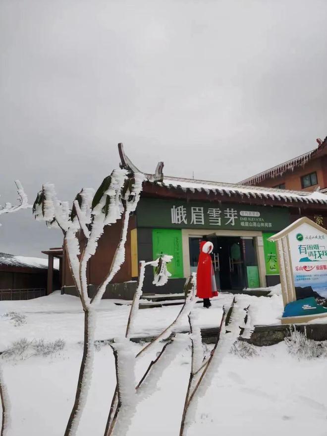 国产精品无码A∨一区二区三区