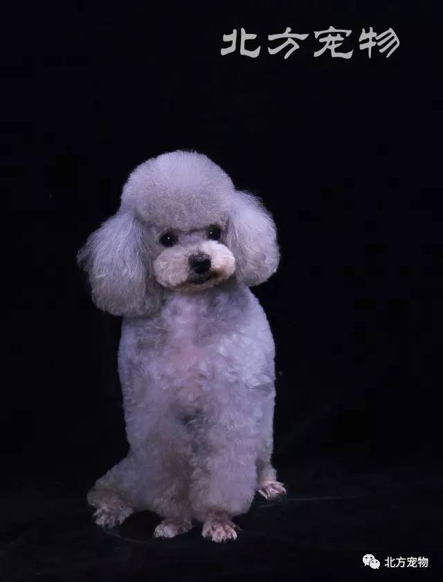 亚洲 无码 在线 专区