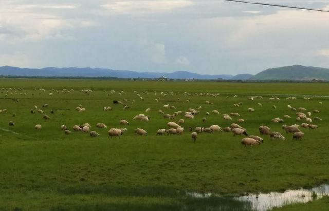 99暗网黑料 促进互联网健康有序发展