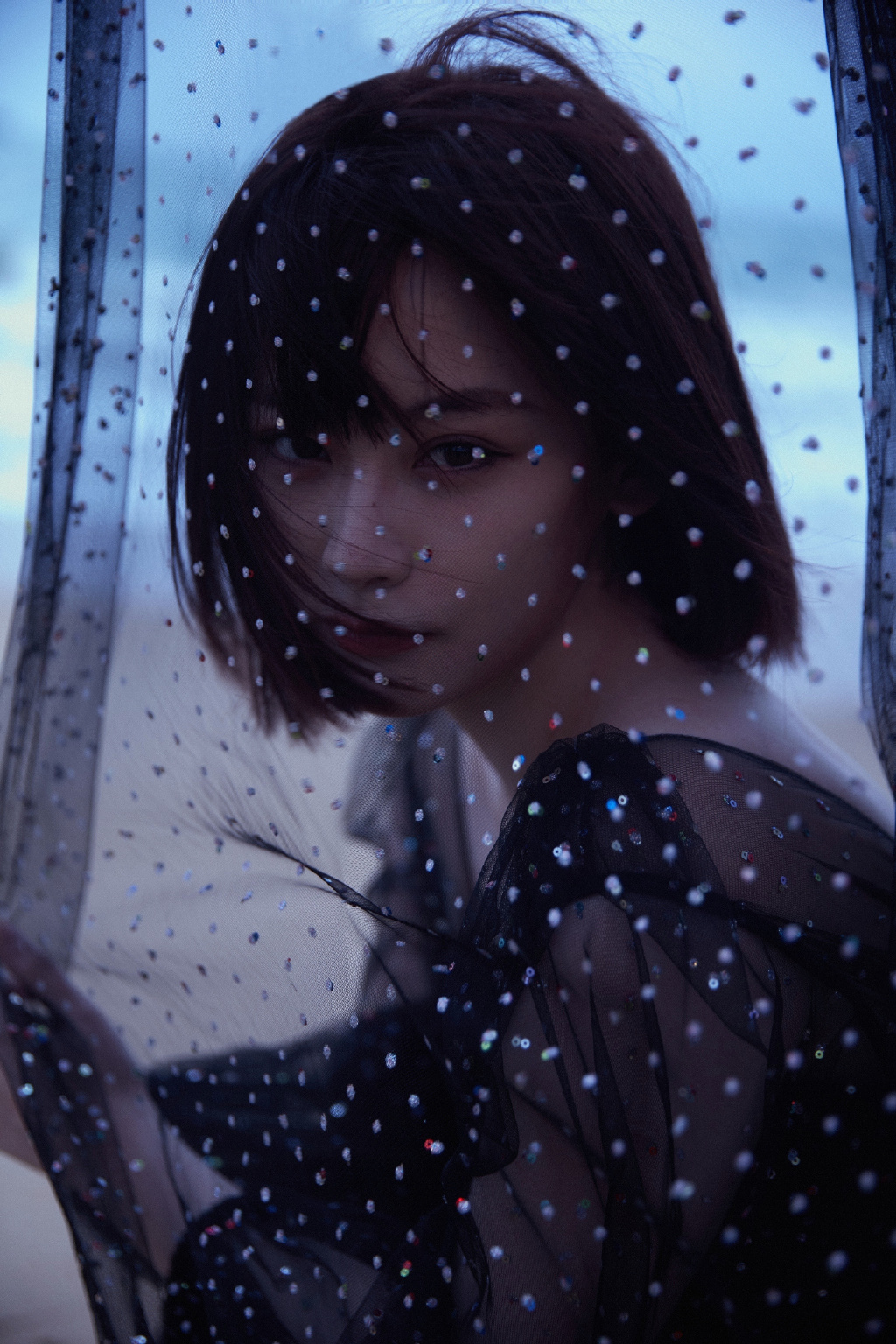 法国啄木鸟电影公司出品的日本电影