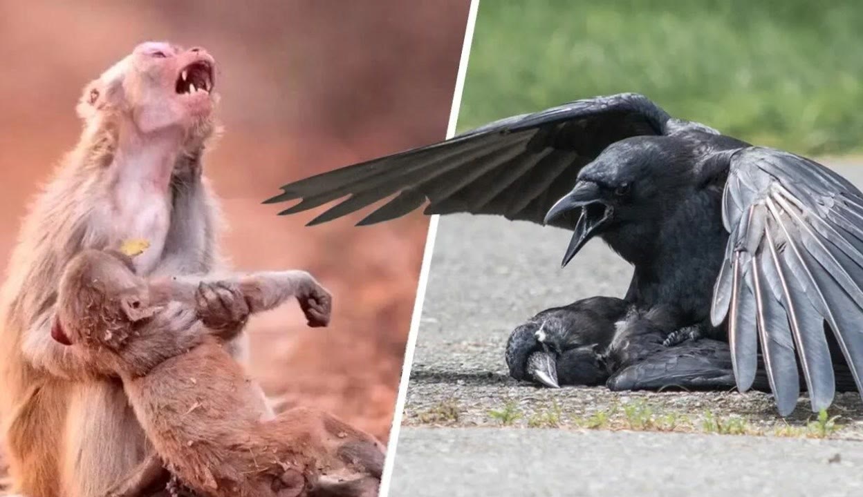 黑人巨大精品欧美视频一区 这个行业可能被贴上负面标签