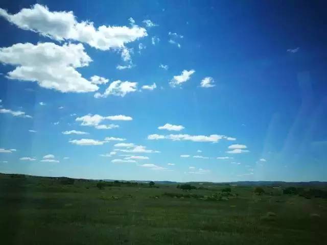 法国啄木鸟足球