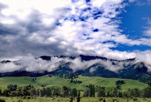 久热精品在线视频 久热精品如果你有其他问题