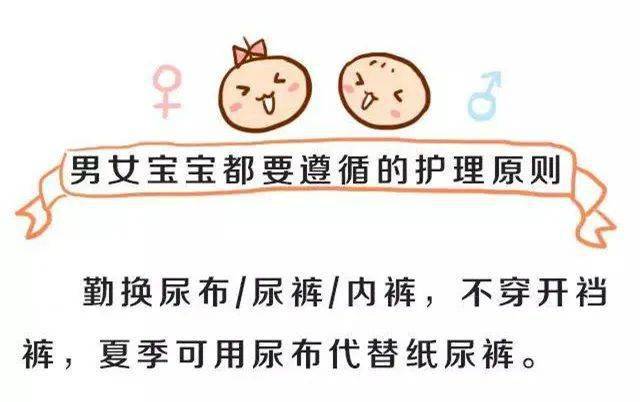 美丽新世界2战争与和平专辑 艺术项目或概念专辑