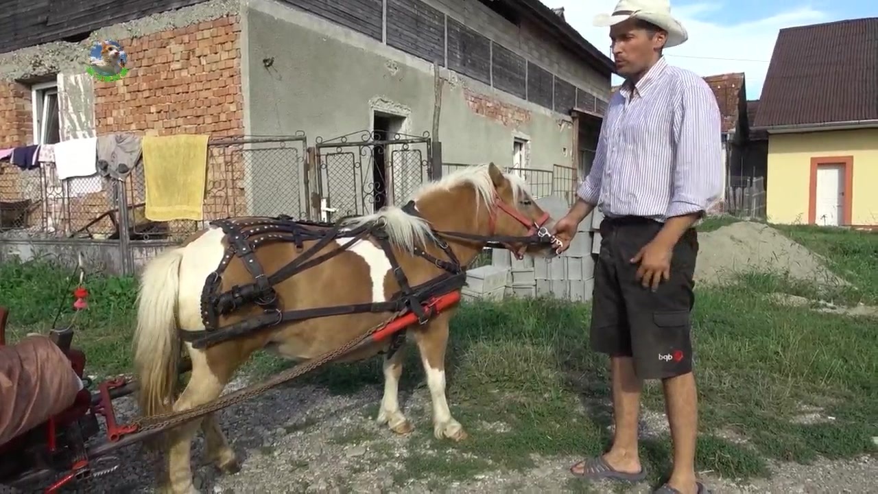 热热久久超碰精品中文字幕 