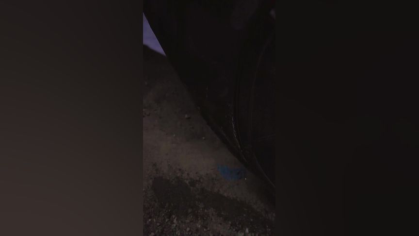 蘑菇视频app官网 蘑菇视频App:以专业与纯粹