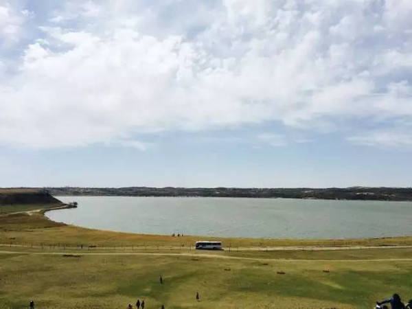 滴哒小艺定制视频